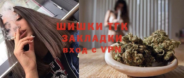 мдпв Няндома